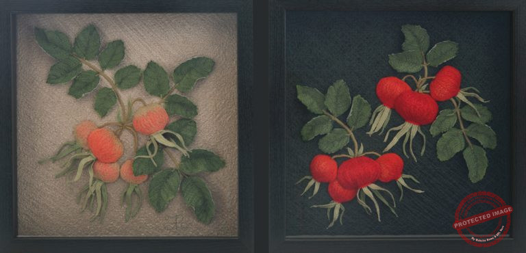 Early & Mature Rosehips by Tracey Lawko
