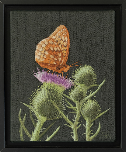 Fritillary & Thistles by Tracey Lawko