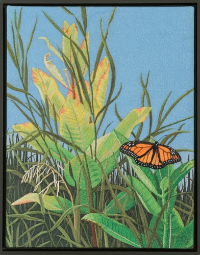Milkweed and Grasses by Tracey Lawko