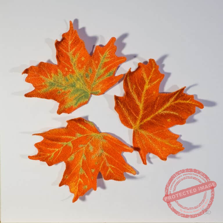 Transitions by Tracey Lawko