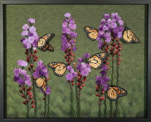 Nature Studies