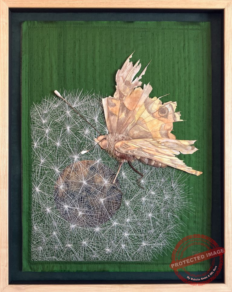 American Lady by Tracey Lawko