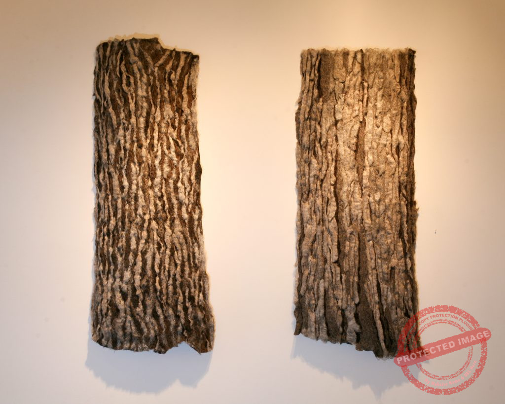Stability (Red Oak and Sugar Maple Bark Studies)