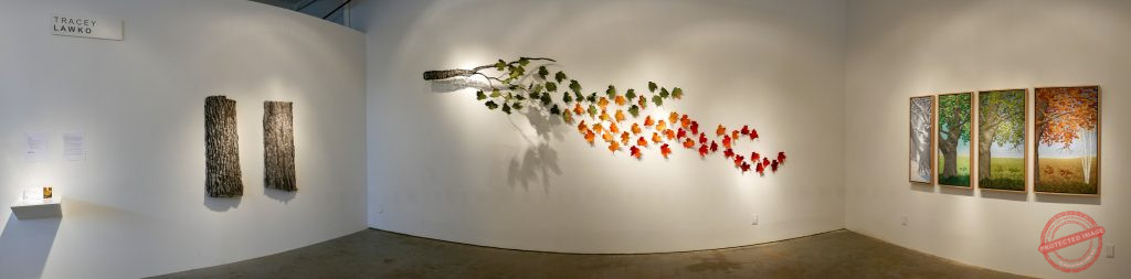 Change Enables Growth Installation 2016