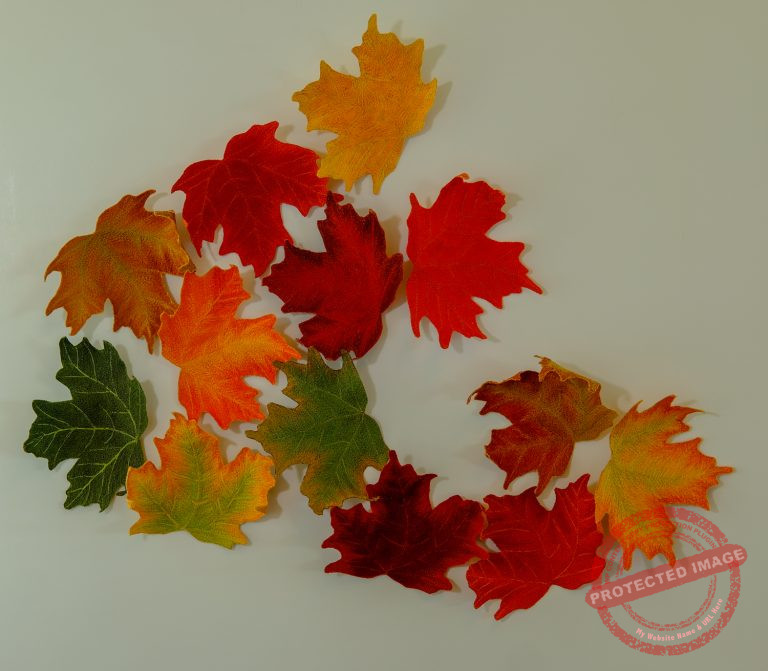 Canada @ 150 by Tracey Lawko