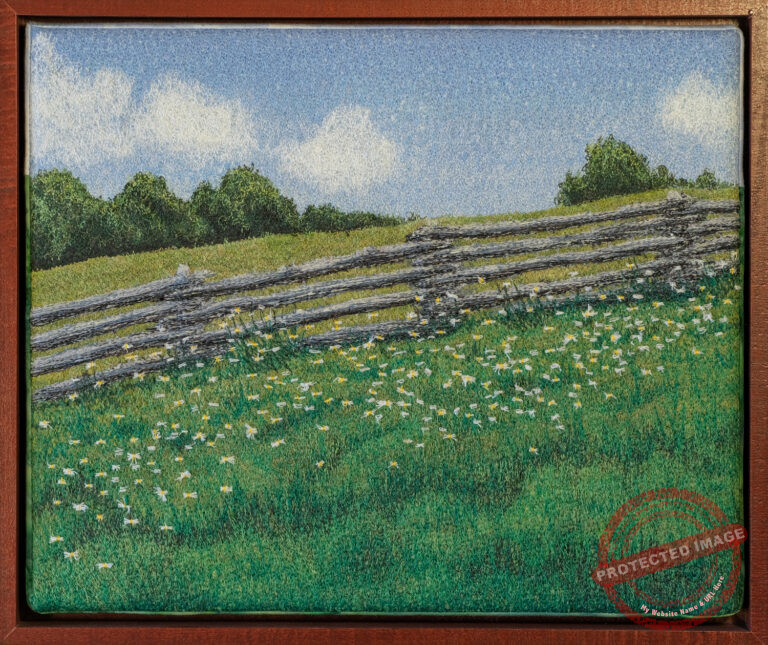 Daisy Field by Tracey Lawko