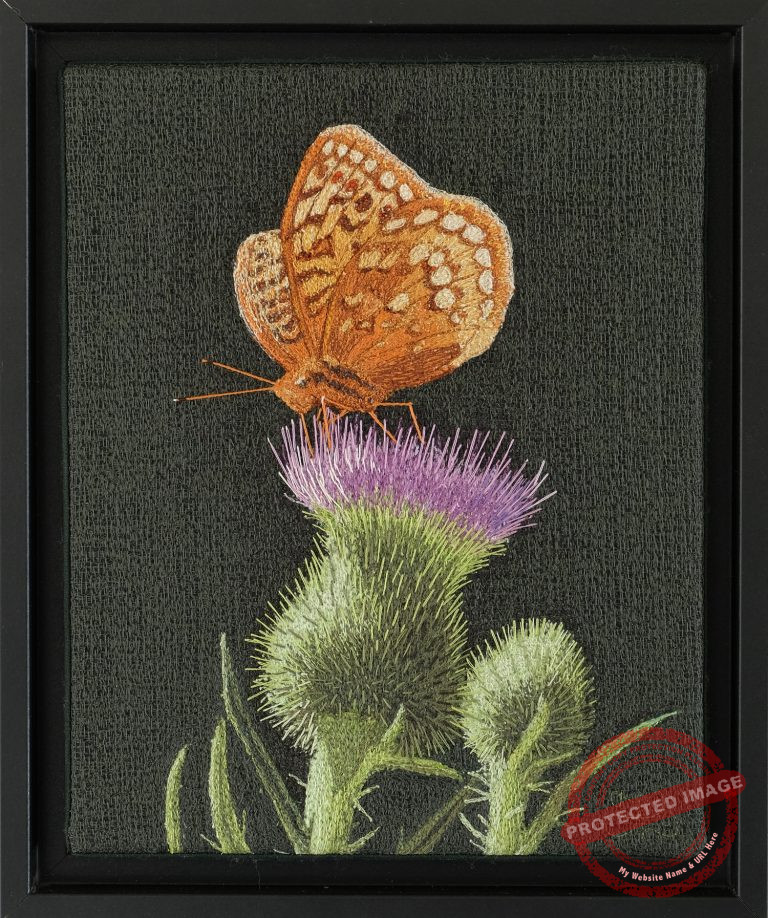 Fritillary & Thistle by Tracey Lawko
