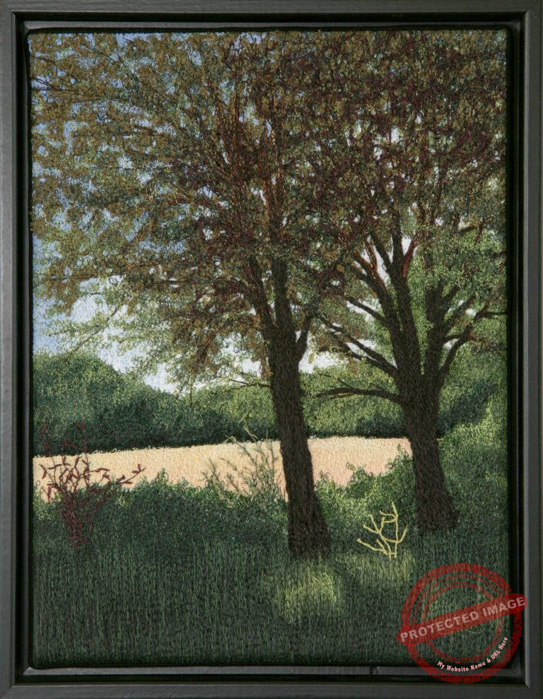 Light in the Clearing by Tracey Lawko