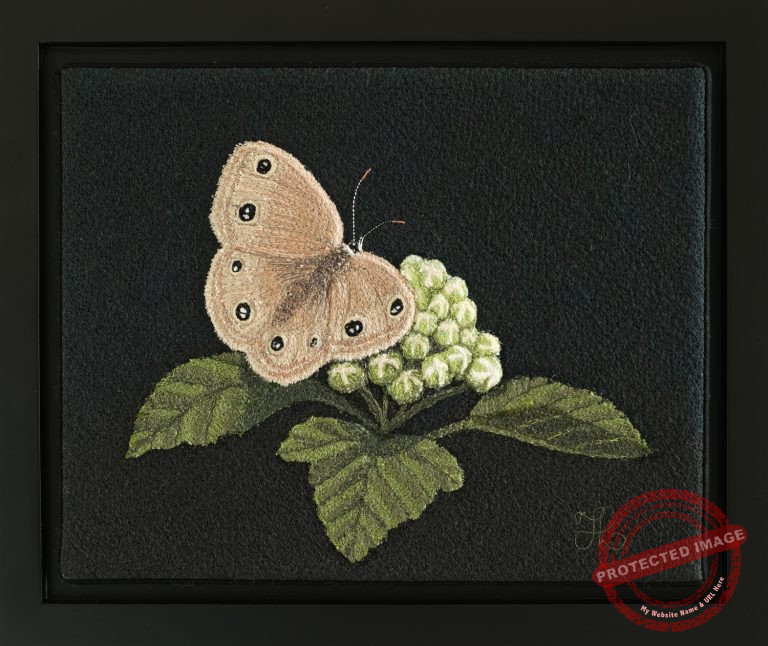 Little Wood Satyr by Tracey Lawko