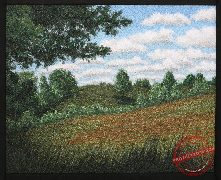 Looking Across the Fields by Tracey Lawko