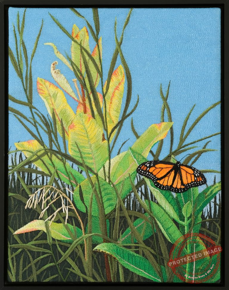 Milkweed & Grasses by Tracey Lawko