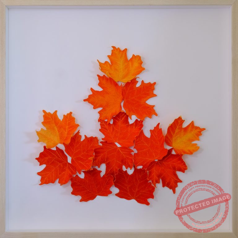 Oh Canada by Tracey Lawko