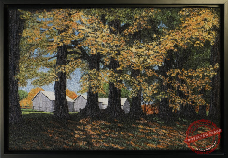 Old Maples by Tracey Lawko