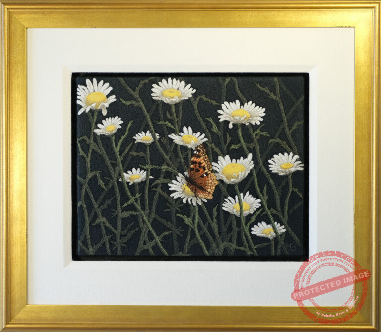 Ox Eye Daisies by Tracey Lawko