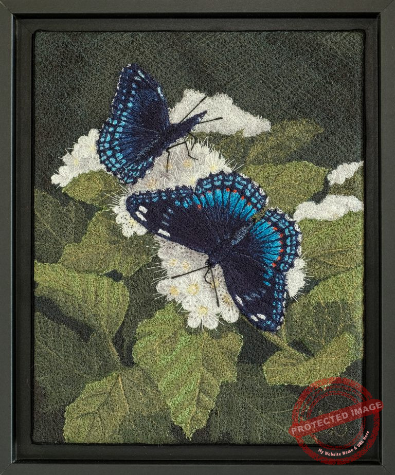 Red Spotted Purples by Tracey Lawko