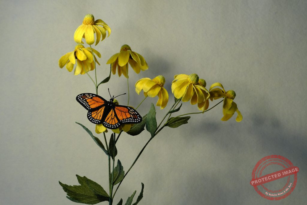 Rudbeckia and Monarch by Tracey Lawko