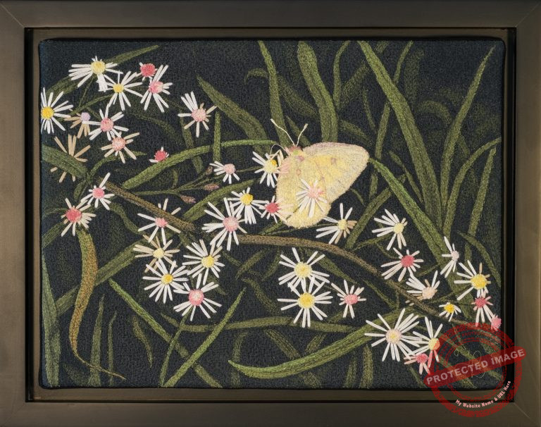 Summer Aster by Tracey Lawko