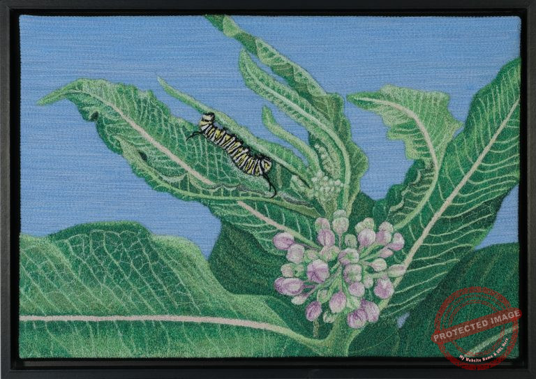 Threatened by Tracey Lawko