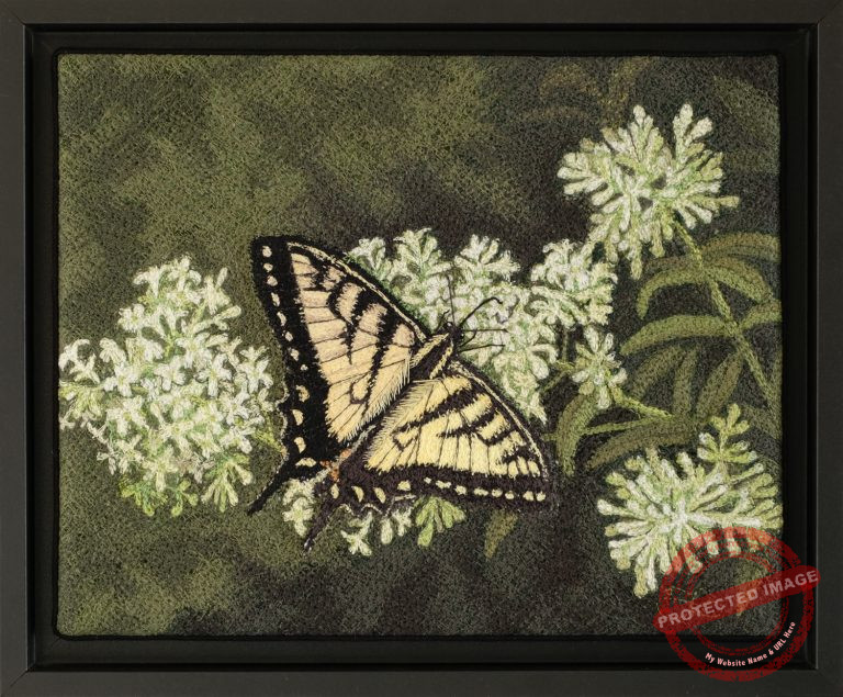 Tiger Swallowtail by Tracey Lawko