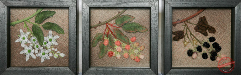 Wild Blackberry by Tracey Lawko