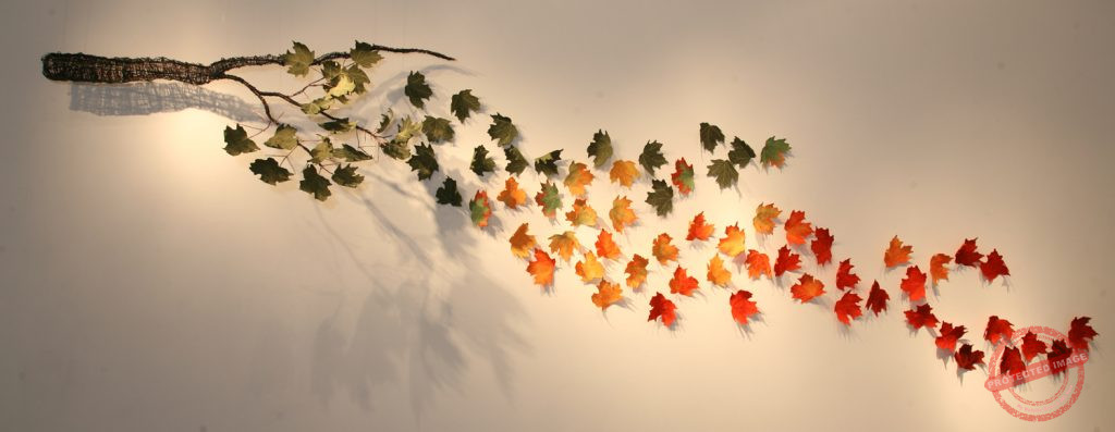 Winds of Change by Tracey Lawko