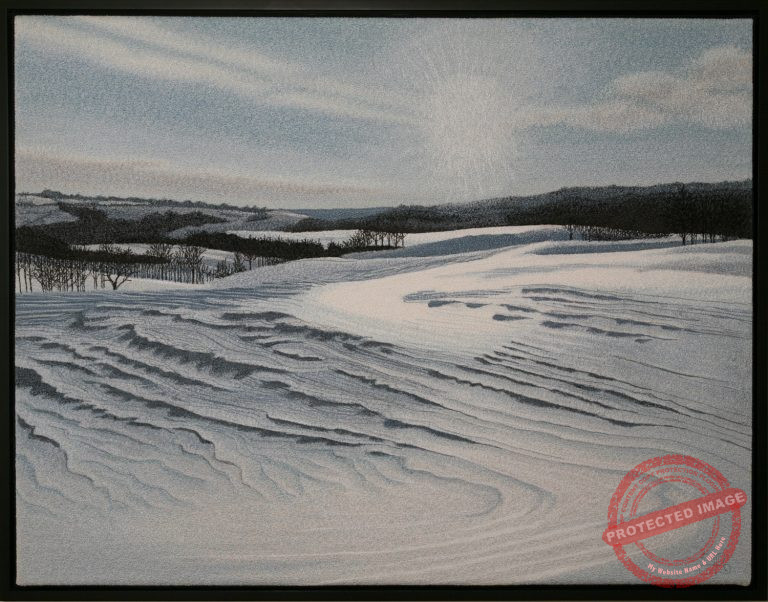 Windswept Snow by Tracey Lawko