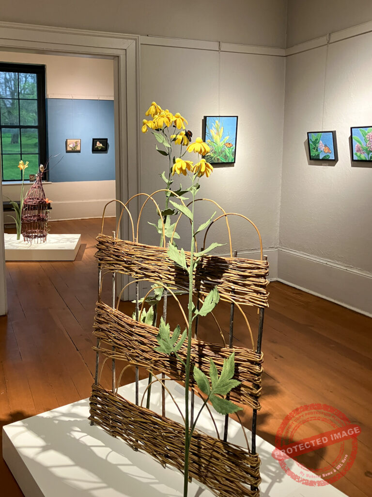 Installation of "An Ode to Phoebe" at Homer Watson House & Gallery 2026